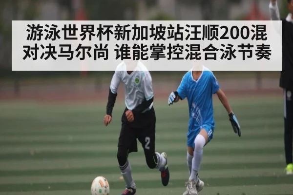 游泳世界杯新加坡站汪顺200混对决马尔尚 谁能掌控混合泳节奏